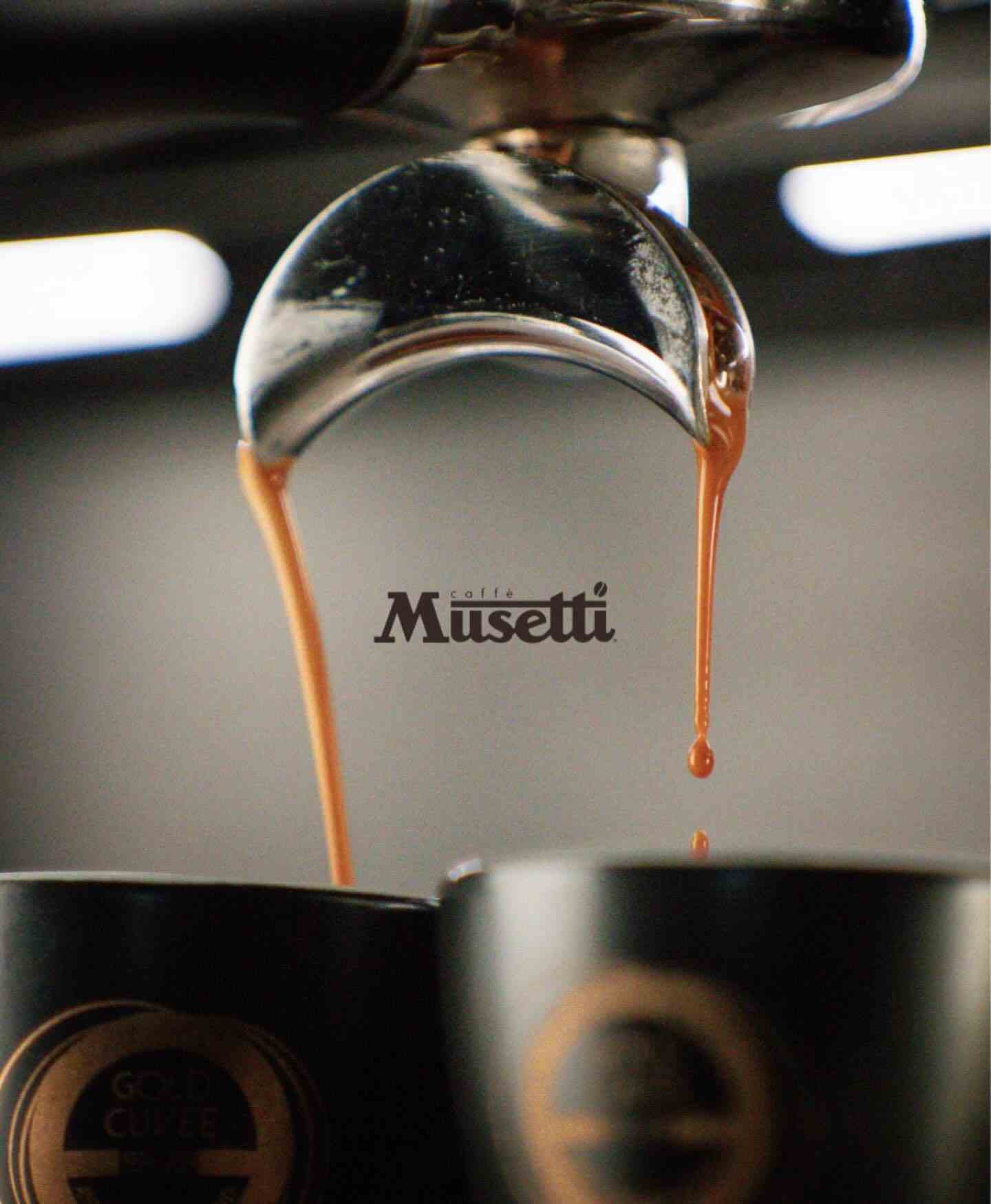 2kg (500g x4袋) ムセッティ Musetti EVOLUZIONE MONSTER エキゾーストマニホールド シリーズ モンスタースポーツ